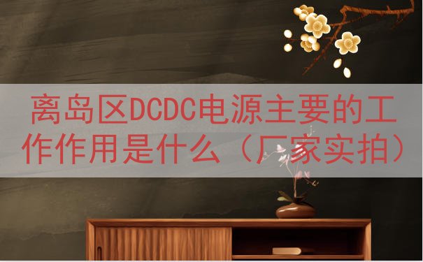 离岛区DCDC电源的工作作用是什么（厂家实拍）